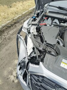 878bb219-1e48-42dc-b48e-a29a4844ccd4